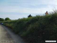 DSCN1553