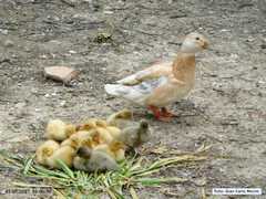 DSCN1670