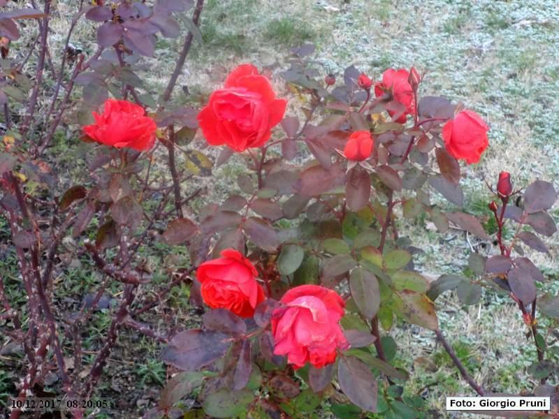 DSC09016
