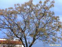 DSC09041