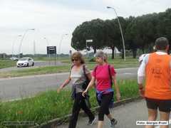 DSC04671