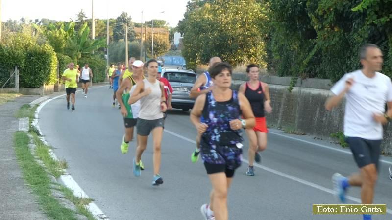 P1130406 2871