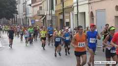 DSC08206 1397