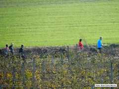 DSCN0983