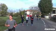 DSC00553 3899