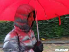 DSC00934