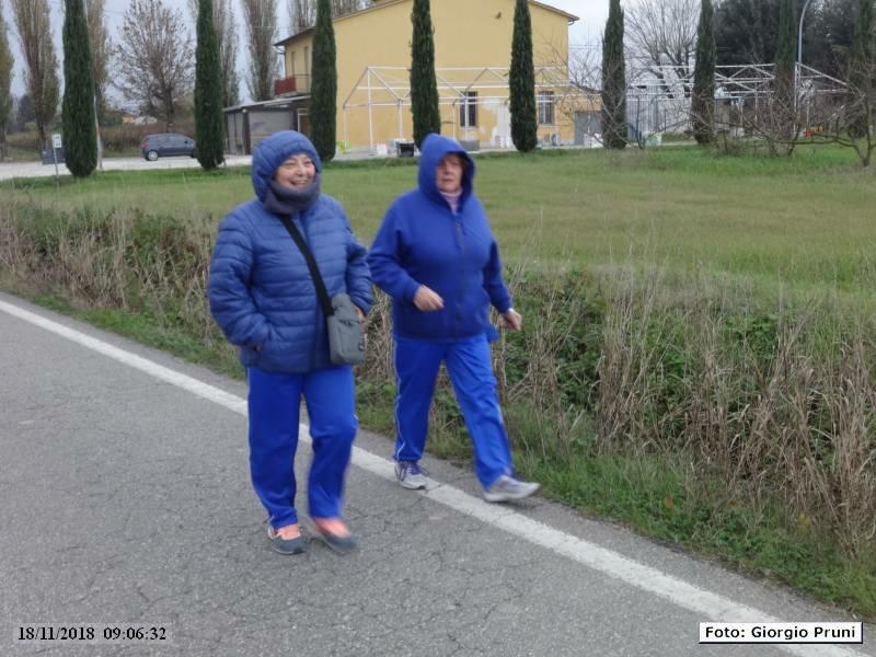 DSC00761