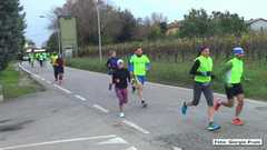 DSC00891 1518