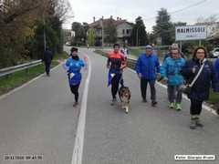 DSC00906
