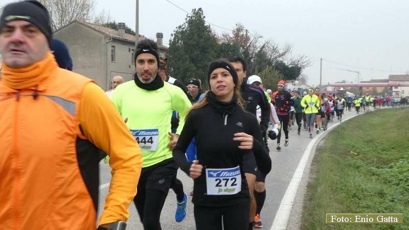 P1260003 5118