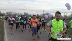 DSC04048 3327