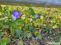img2019107