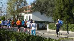 P1380645 2891