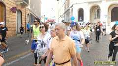 P1490642 06050
