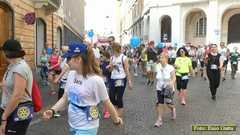 P1490642 06125