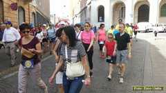 P1490642 06931