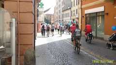 P1490642 10872