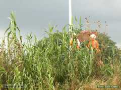 P1510203