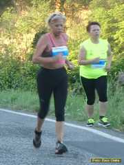 P1490145 4502