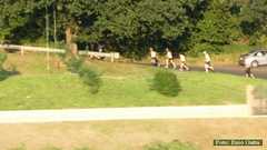 P1490145 7931