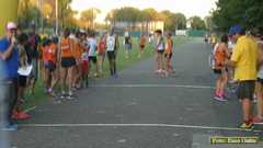 P1530167 2976