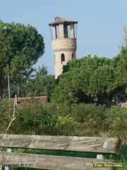 P1660822