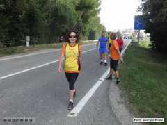 DSC08184